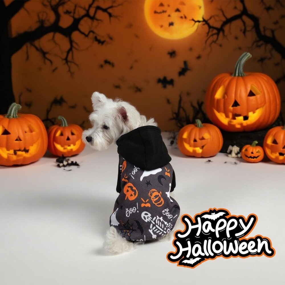 EXPAWLORER Halloween Dog Hoodie